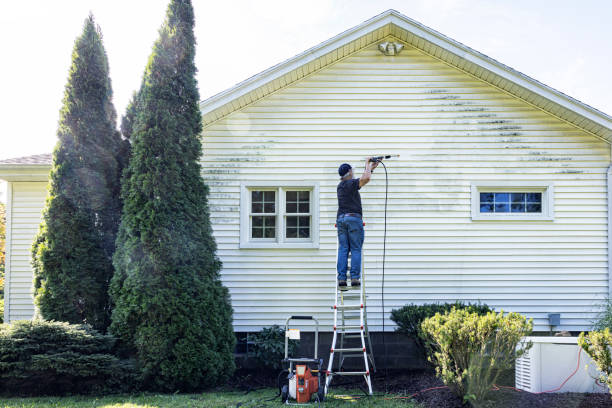 Best Driveway Pressure Washing  in Boston, GA